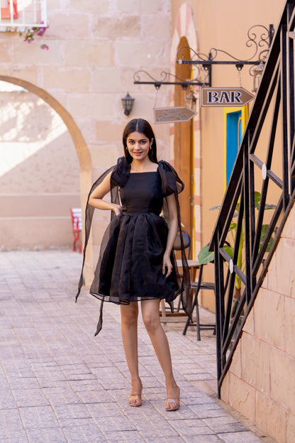 Black Organza Tie-up Sleeves Dress