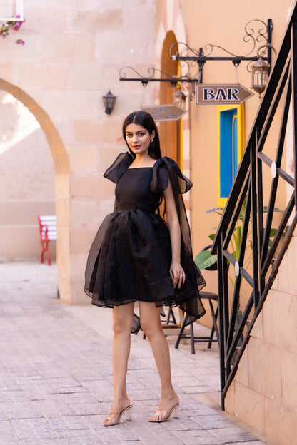 Black Organza Tie-up Sleeves Dress