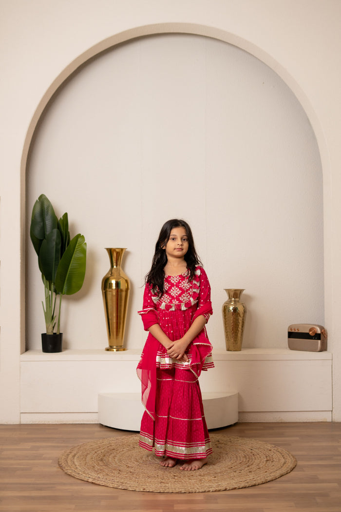 Blush Pom Pom Sharara Set