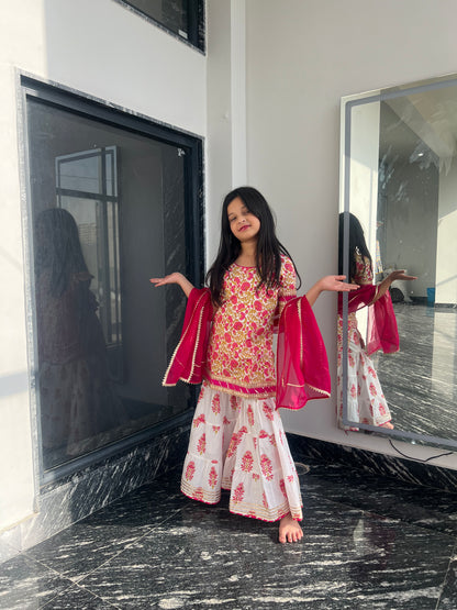 Pink Daisy Sharara Set For Girls