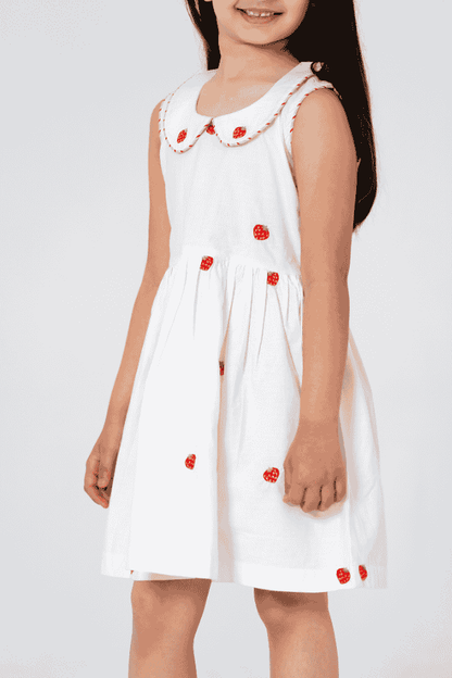 Adorable Strawberry Embroidered Midi Dress